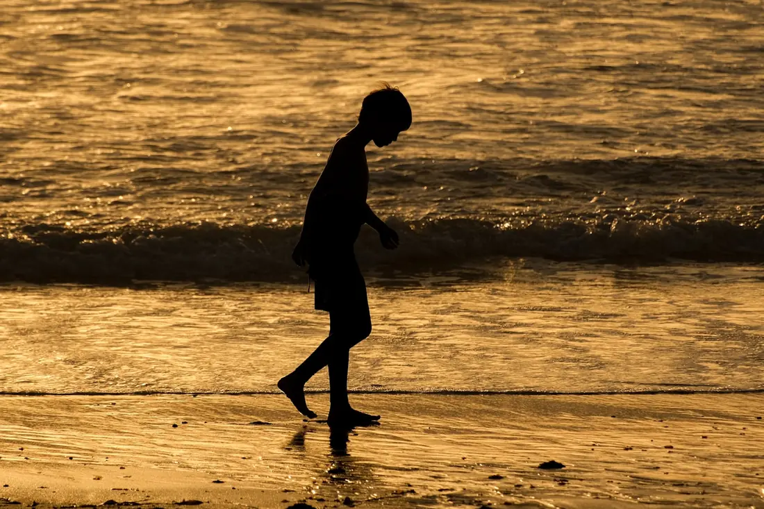 Silhouette of a person walking along the shoreline at sunset